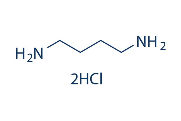 1,4-Diaminobutane dihydrochloride Chemical Structure